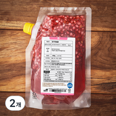 봄봄푸드 딸기청 큐브, 500g, 2개