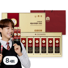 풍년보감 6년근 고려홍삼정 에브리데이100 60포 세트 + 쇼핑백, 900g, 8세트