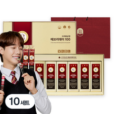 풍년보감 6년근 고려홍삼정 에브리데이100 60포 세트 + 쇼핑백, 900g, 10세트 900g, 10세트