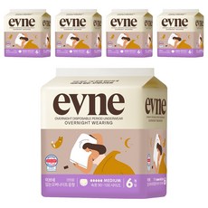 이브네 입는 오버나이트, 중형, 6개입, 5개