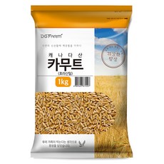 대구농산 건강한밥상 카무트 호라산밀, 1kg, 1개