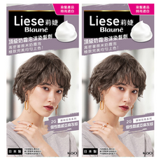 Liese 莉婕 頂級奶霜泡沫染髮劑, 2G 個性酷感亞麻灰棕, 2盒