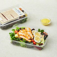 곰곰 골든텐더치킨 시그니쳐 샐러드, 250g, 1개