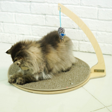 가또블랑코 도리도리 스크래쳐, 혼합색상, 1개