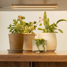 LUAZ 黏貼式LED燈條 植物生長照明 植物燈 33cm 2頭