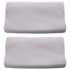 LAMINA 樂米娜 吸濕排汗優眠記憶枕, 2個