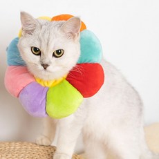 유앤미 반려동물 해바라기 넥카라 FYQ014, 레인보우, 1개