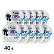 듀먼 전연령 강아지 케어플러스 눈건강 화식사료, 연어, 50g, 40개