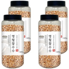 건강곡간 영월 찰수수, 600g, 4개