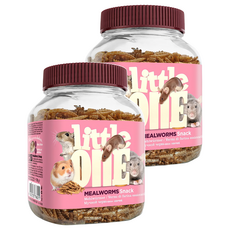 little onE 小點心 高蛋白點心 囓齒動物適用, 70g, 2罐
