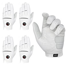 라조시 남성용 반양피 버디그립 실리콘 골프장갑 왼손용 5p, 혼합색상, 1세트