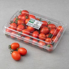 ONLYFARM GAP 대추방울토마토, 1kg, 1팩