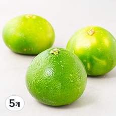 만나다 미국산 메로골드, 1.1kg, 5개