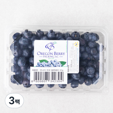 만나다 미국산 블루베리, 311g, 3팩