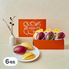 이웃마을 태국망고 애플망고 6입 선물세트, 6세트, 2kg