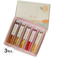 수제과일 미니스틱청 5종 선물세트, 과일청 5종, 3세트