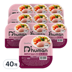듀먼 전연령용 강아지 빛나는피모 화식사료, 닭+연어, 50g, 40개
