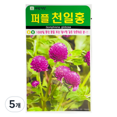 아람종묘 천일홍 꽃 씨앗 100p, 5개
