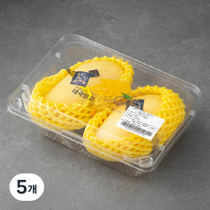 로얄타이 태국산 망고 2입, 500g, 5개
