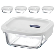 락앤락 탑클라스 실리콘 정사각 밀폐용기, 5개