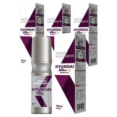 엑스티어 알파 자동차용 연료첨가제 휘발유 500ml, 4개, 가솔린/휘발유