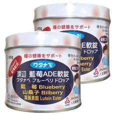 人生製藥 渡邊藍莓ADE軟錠 含藍莓、山桑子、葉黃素酯, 190g, 2罐