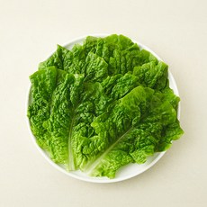 친환경 한끼 청상추, 80g, 1개
