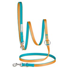 尾巴與我 新經典 多功能牽繩, 碧綠淺棕, M/L, 1條