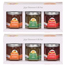 제주담움 꿀차 3종 선물세트, 한라봉꿀차 50g + 오미자꿀차 50g + 청귤차 50g, 2세트
