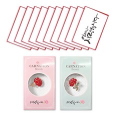 Tooyoung 康乃馨愛心胸針 2款 + 訊息手寫卡 10入組, 胸針(混合顏色), 卡片(永遠的愛), 1套