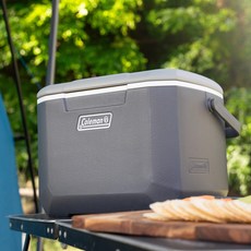 콜맨 퍼스널 하드쿨러, 다크그레이, 15L