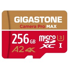 GIGASTONE 立達 Camera Pro MAX microSDXC UHS-I U3 A2 4K 錄影監控記憶卡, 256GB, 1個
