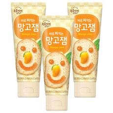복음자리 바로 짜먹는 망고잼, 100g, 3개