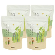 자연닮음 국산 볶은 무말랭이 차, 300g, 4개, 1개입