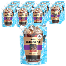 맥널티커피 아이스 헤이즐넛향 커피 대용량 파우치, 1L, 12개