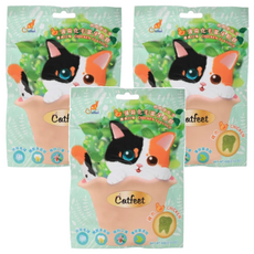 Catfeet 呼嚕最愛 薄荷化毛潔牙餡餅, 嫩雞, 60g, 3包