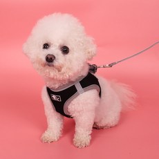 DING DONG PET 狗狗舒適網眼胸背帶套組, 黑色