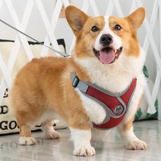 DING DONG PET 狗狗用網眼X型胸背帶, 紅色