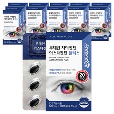 네추럴라이즈 루테인 지아잔틴 아스타잔틴 플러스 15g, 30정, 12개