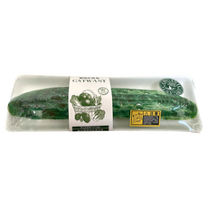 CATWANT 貓咪旺農場 100%貓薄荷填充 長黃瓜 貓玩具, 1個