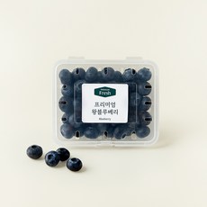 프리미엄 왕 블루베리, 200g, 1개