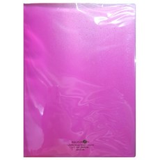 LIHIT LAB. 40頁資料本 N-5001, 紫色, 1本