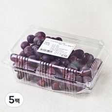 다조은 칠레산 씨없는 적포도, 900g, 5팩