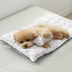 이츠독 인견 프리미엄 쿨링 매트, 핑크캣, 1개