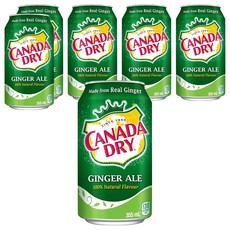 CANADA DRY 薑汁汽水 100% 天然風味, 355ml, 6罐