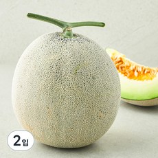 농협 유명산지 멜론, 2입, 2kg 이상