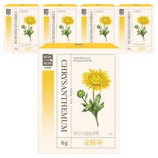 녹차원 국화차 티백, 20개입, 5개, 800mg