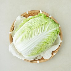 중국산 신선배추, 2kg, 1개, 1개입