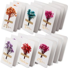 POPO FANCY 乾燥花造型卡片 6入, 謝謝（橙色、粉色）、謝謝（粉色、藍色）、謝謝（紫色、紅色）, 3套