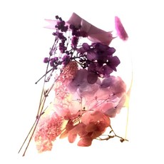 A-ONE 匯旺 浮游花DIY花材包 Set 3, 天然植物乾燥花, H16 薰影紫韻 彩色